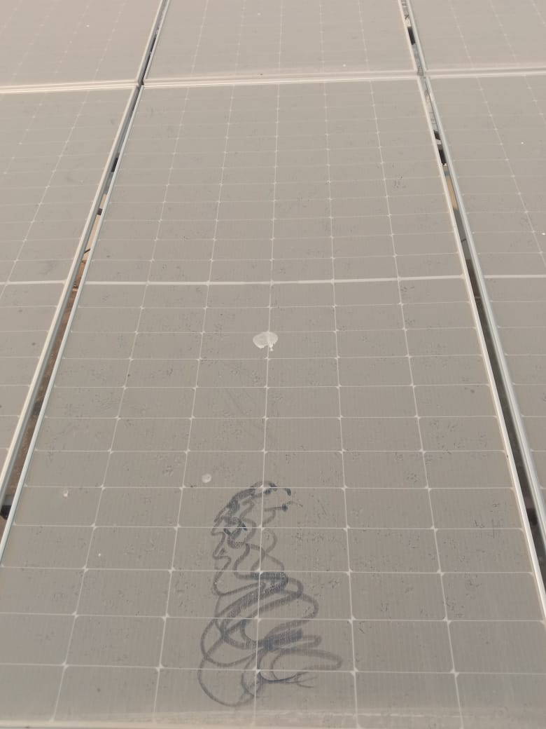 Solar Panel Cleaning Work - Image 1